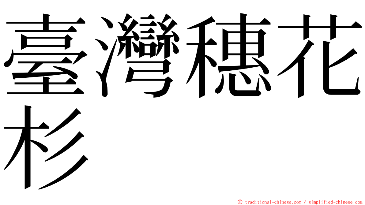 臺灣穗花杉 ming font