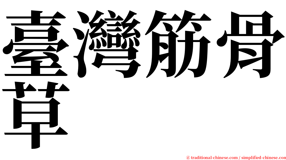 臺灣筋骨草 serif font