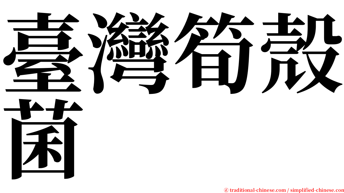 臺灣筍殼菌 serif font