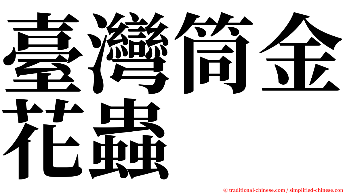 臺灣筒金花蟲 serif font