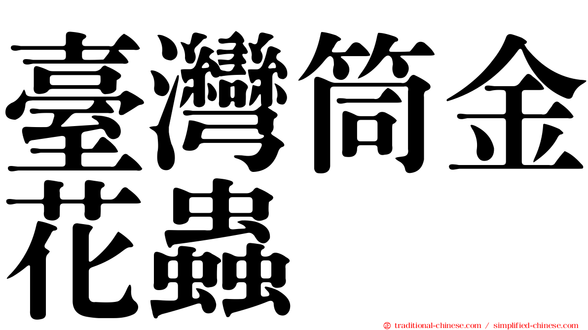 臺灣筒金花蟲