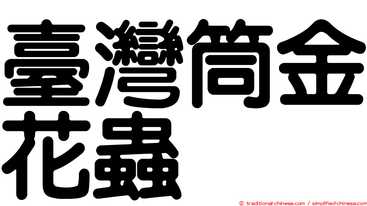 臺灣筒金花蟲
