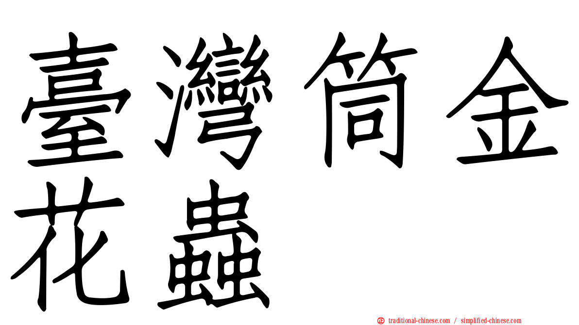 臺灣筒金花蟲