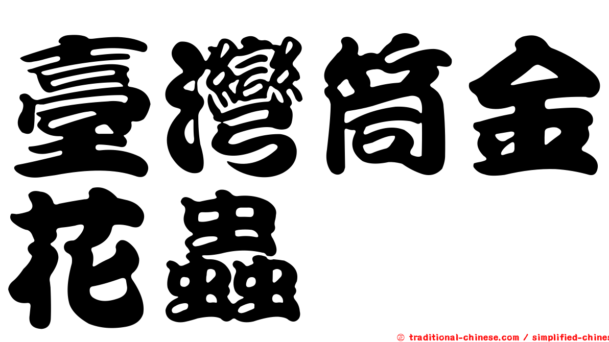 臺灣筒金花蟲
