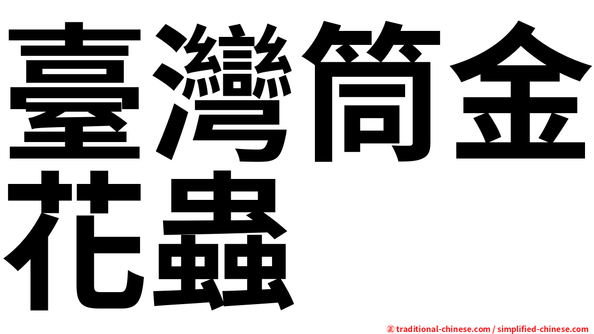 臺灣筒金花蟲