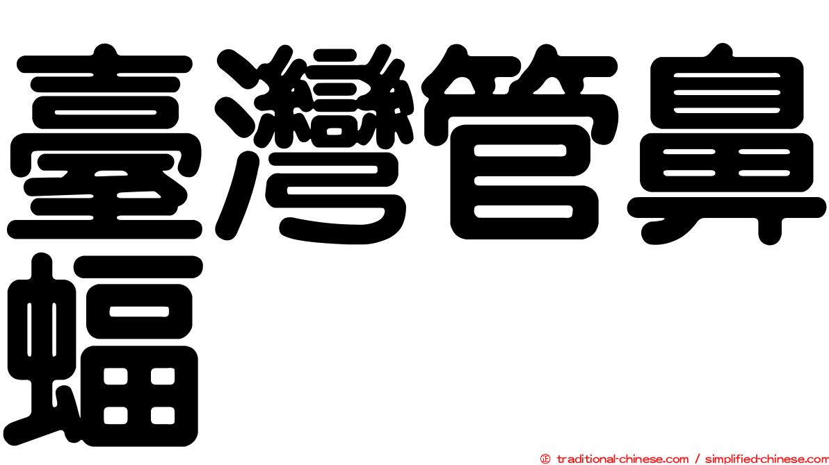 臺灣管鼻蝠