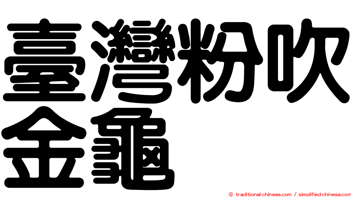 臺灣粉吹金龜