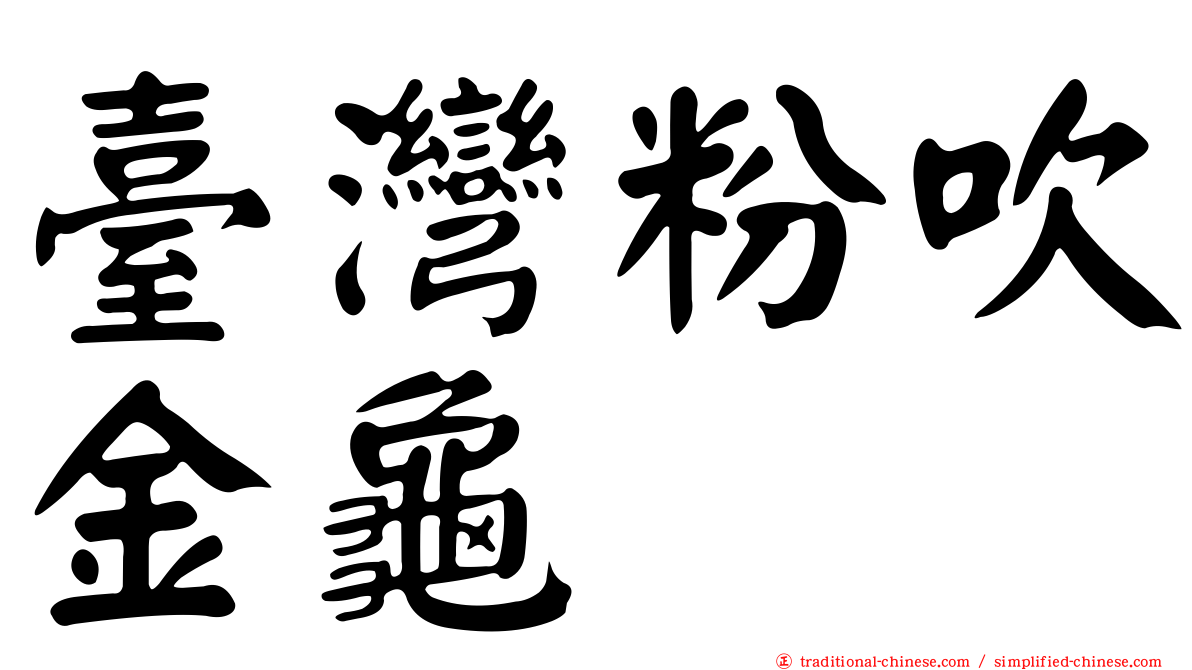 臺灣粉吹金龜