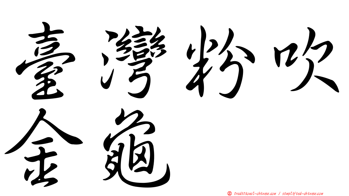 臺灣粉吹金龜