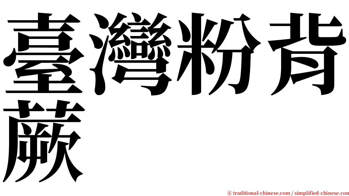 臺灣粉背蕨 serif font