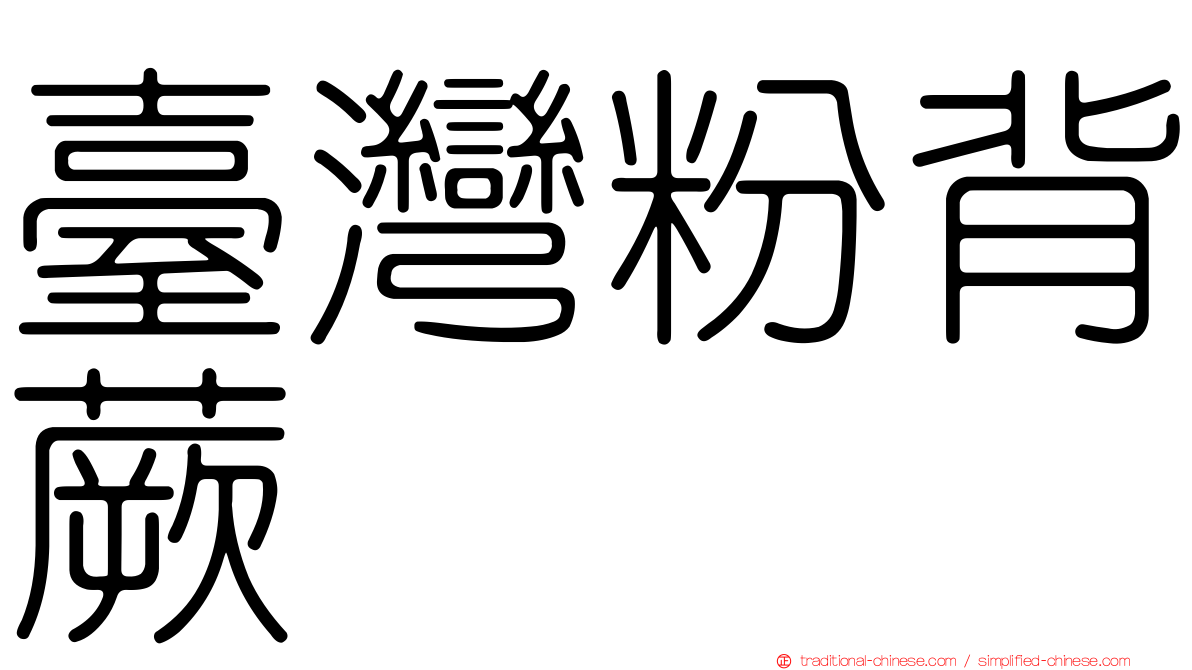 臺灣粉背蕨