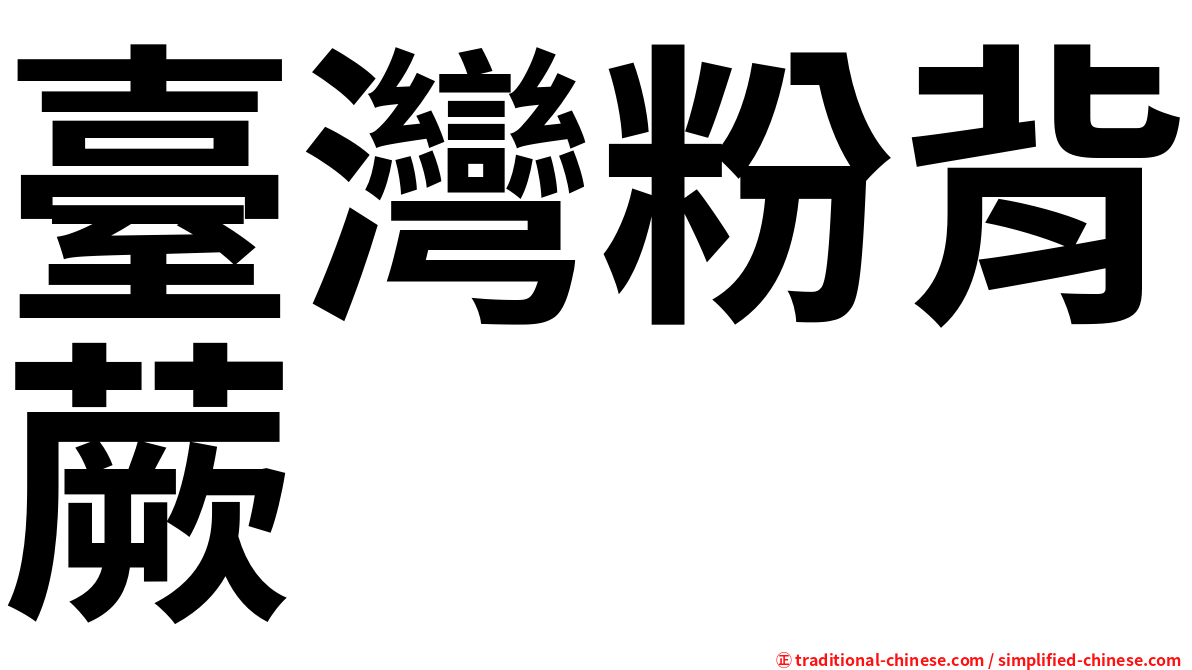 臺灣粉背蕨