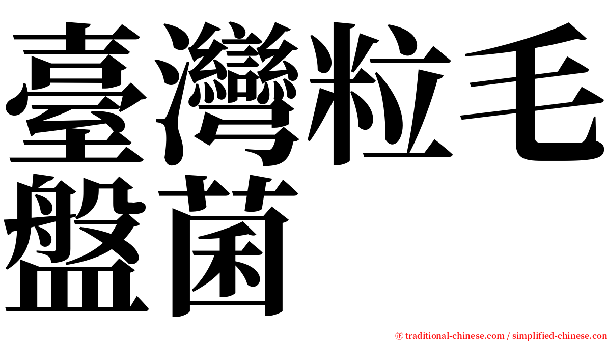 臺灣粒毛盤菌 serif font