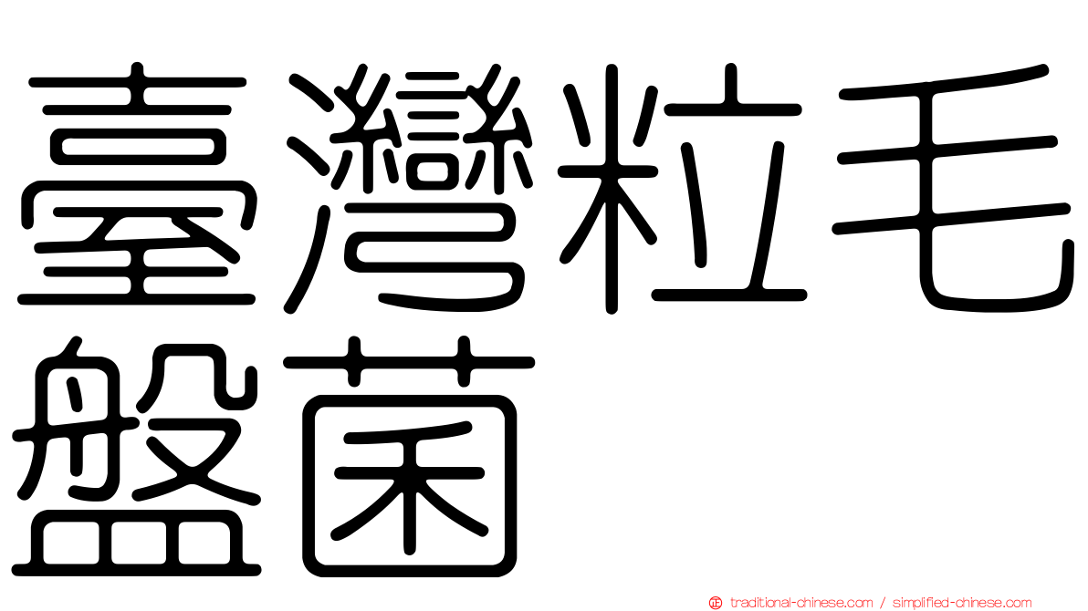 臺灣粒毛盤菌