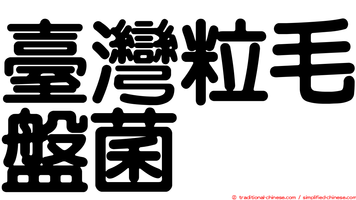 臺灣粒毛盤菌
