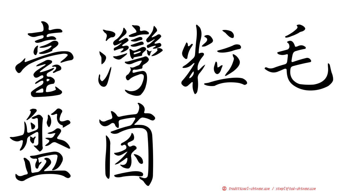 臺灣粒毛盤菌