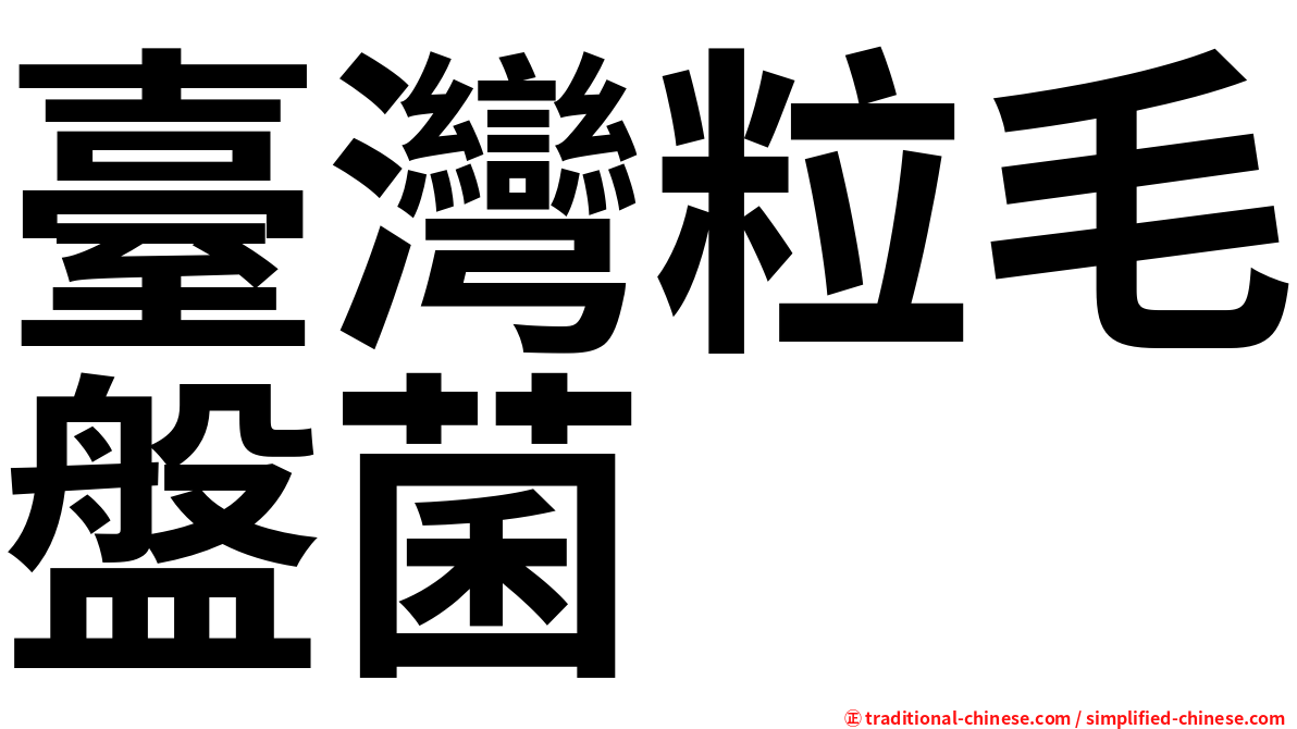 臺灣粒毛盤菌
