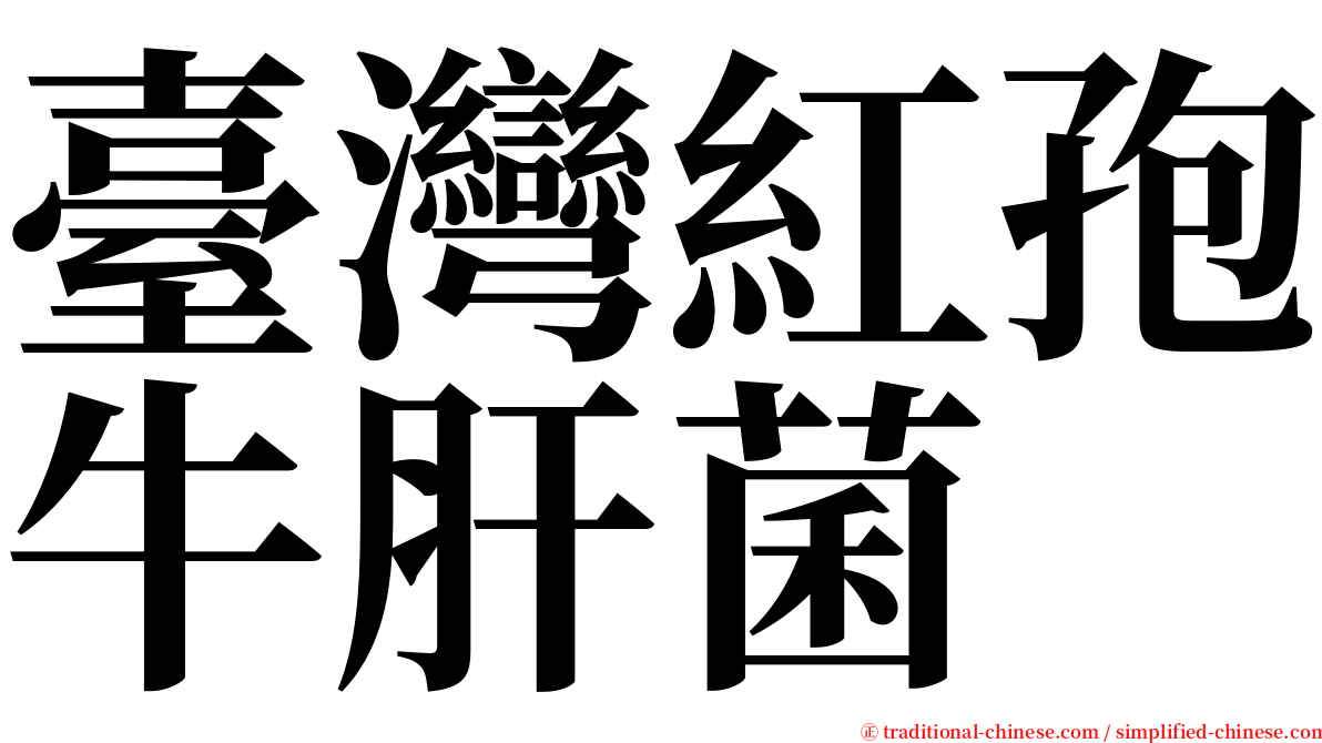 臺灣紅孢牛肝菌 serif font