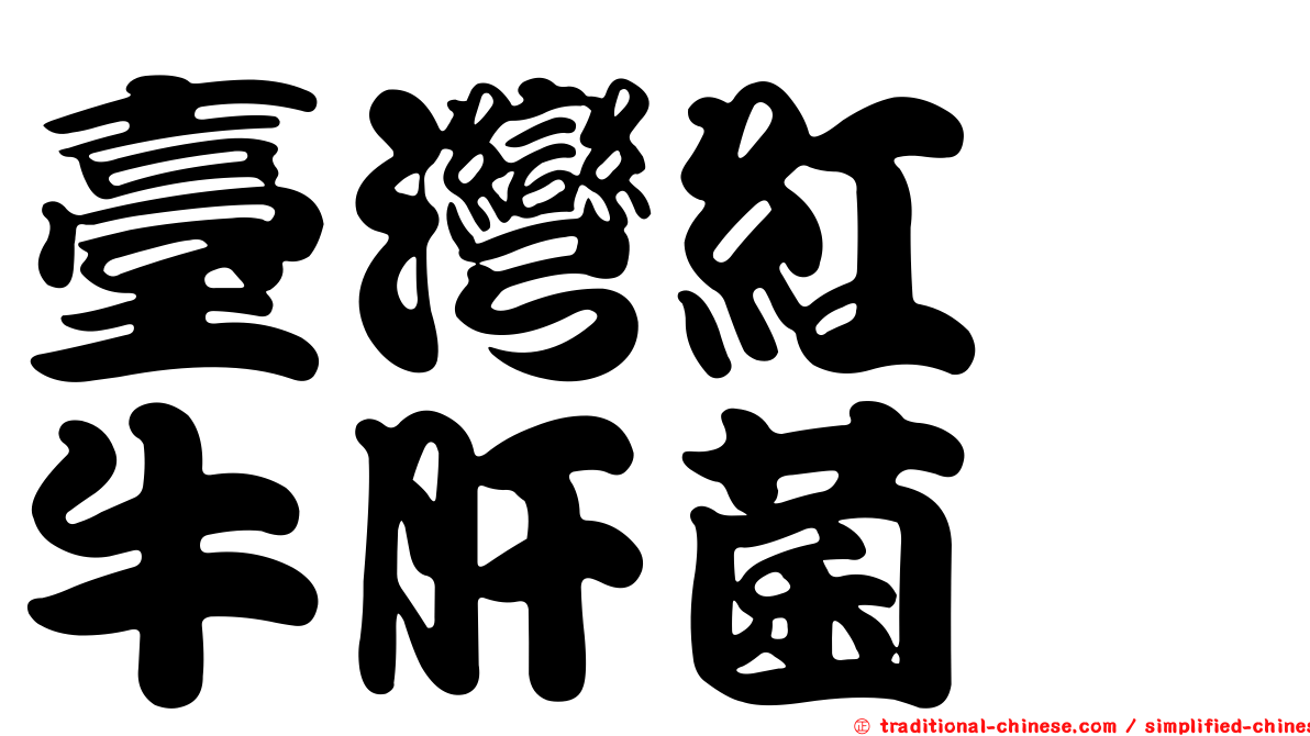 臺灣紅孢牛肝菌