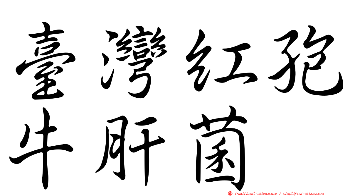 臺灣紅孢牛肝菌