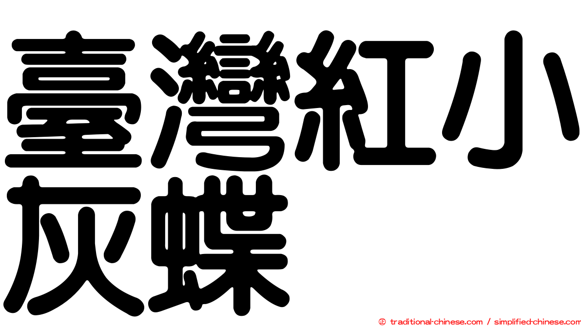 臺灣紅小灰蝶
