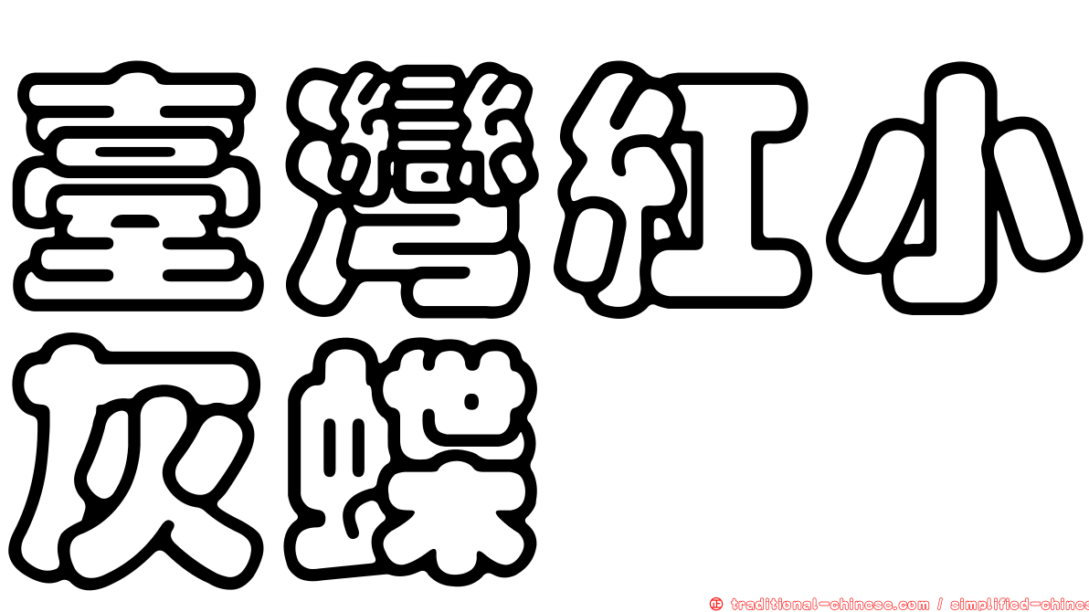 臺灣紅小灰蝶