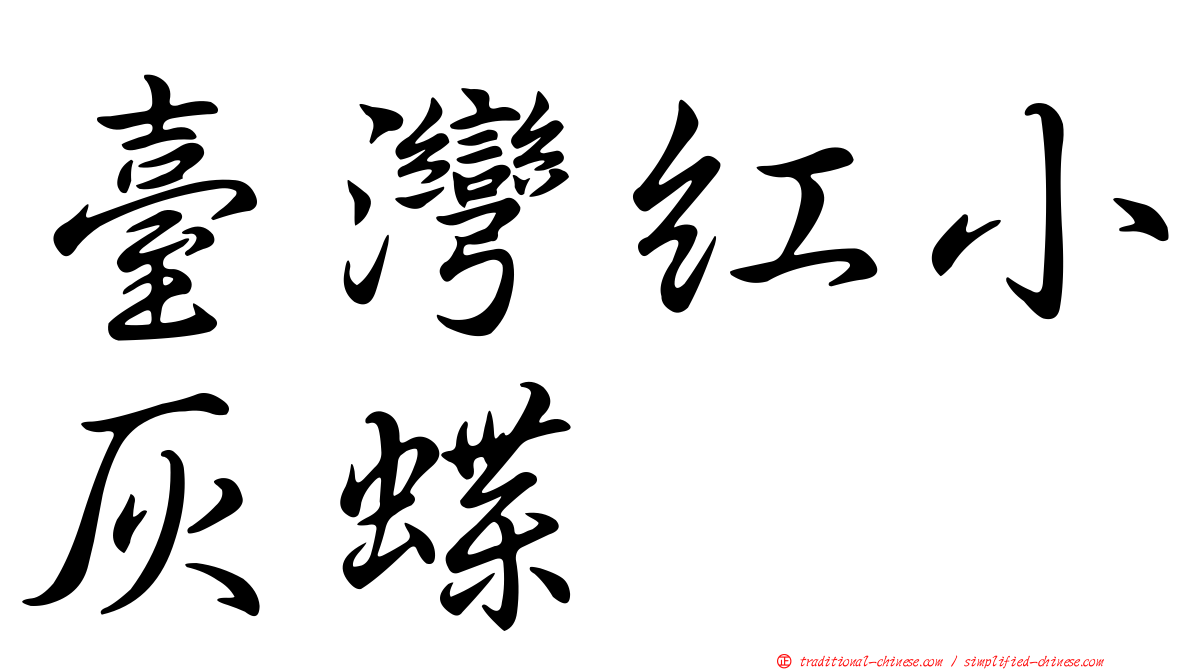 臺灣紅小灰蝶