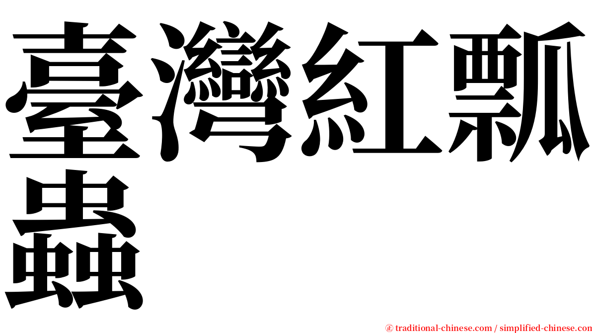 臺灣紅瓢蟲 serif font