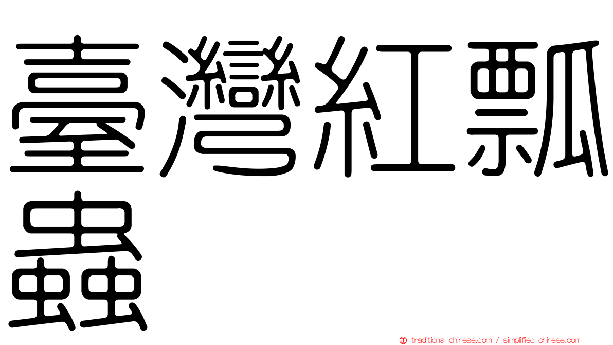 臺灣紅瓢蟲