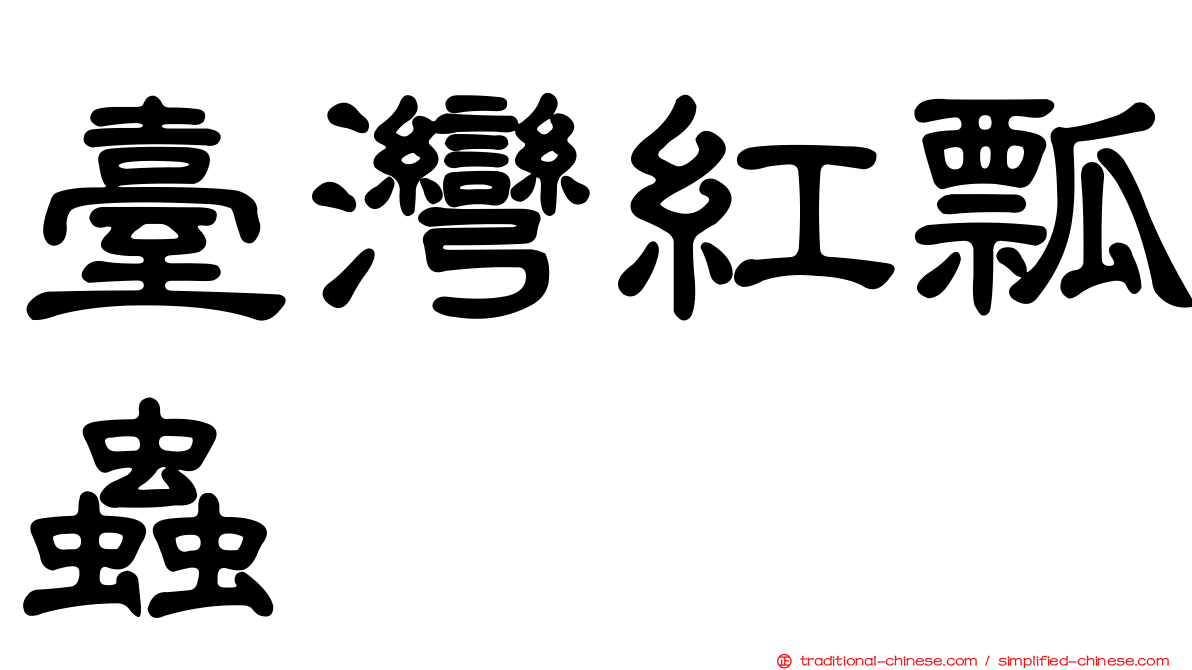 臺灣紅瓢蟲
