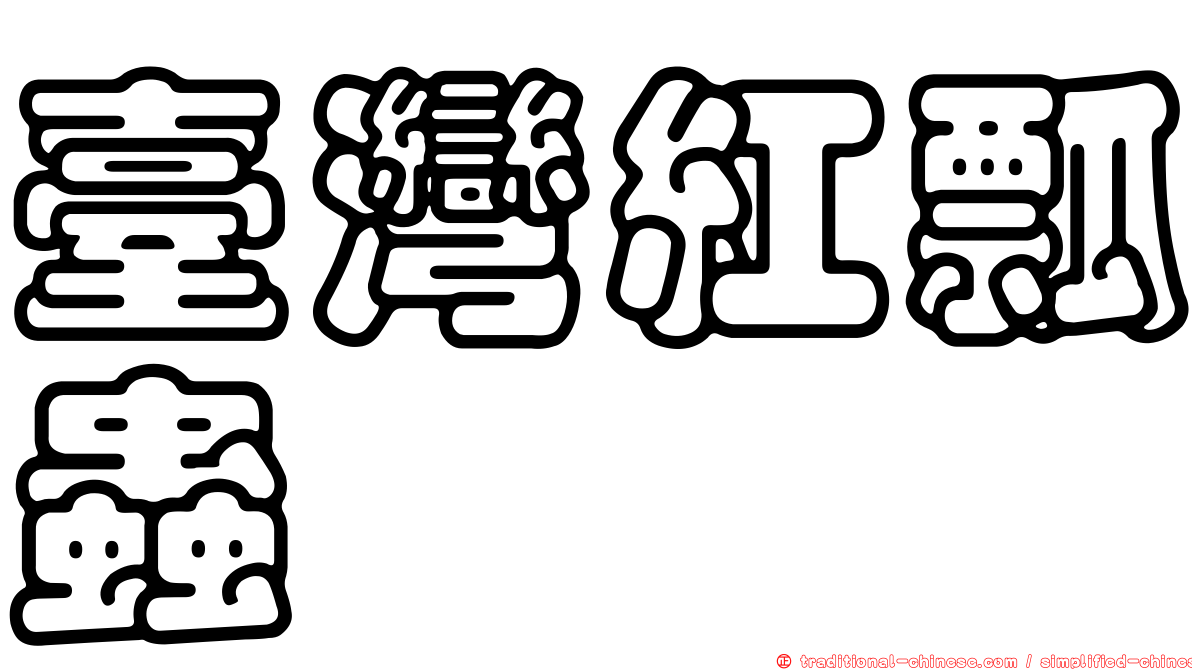 臺灣紅瓢蟲