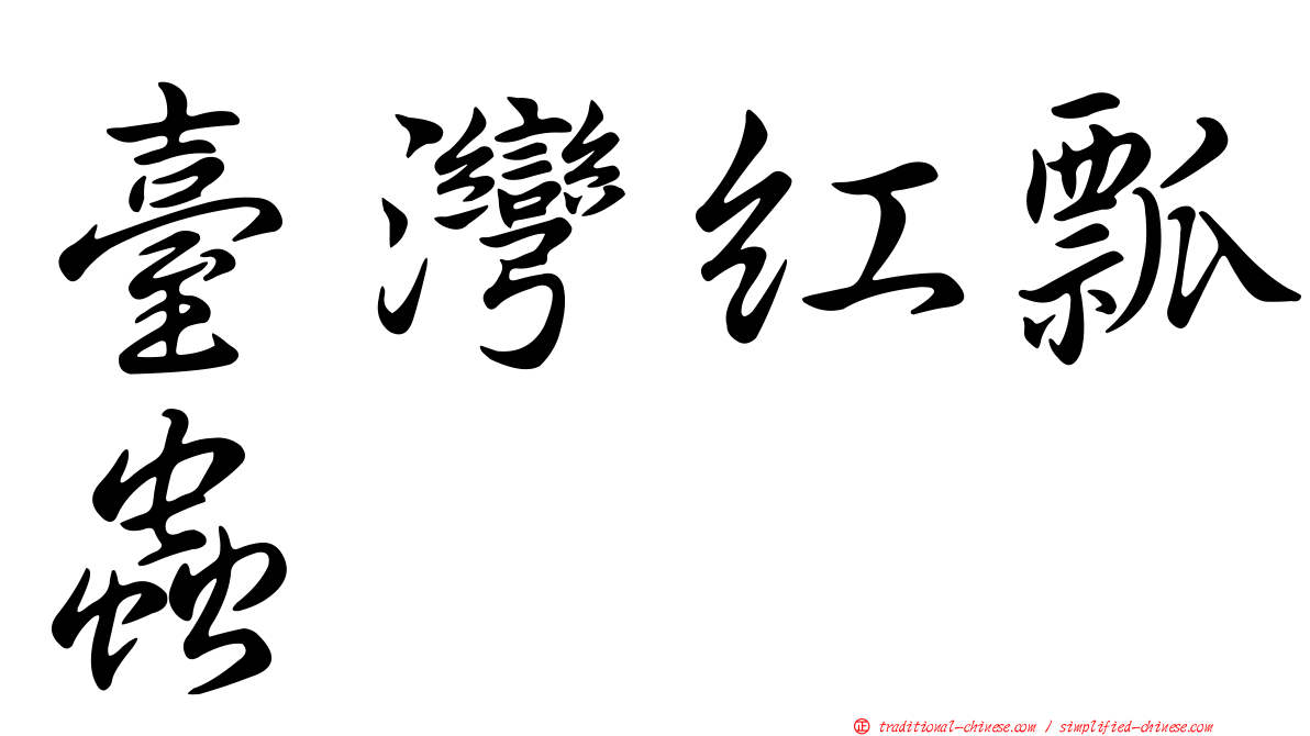 臺灣紅瓢蟲