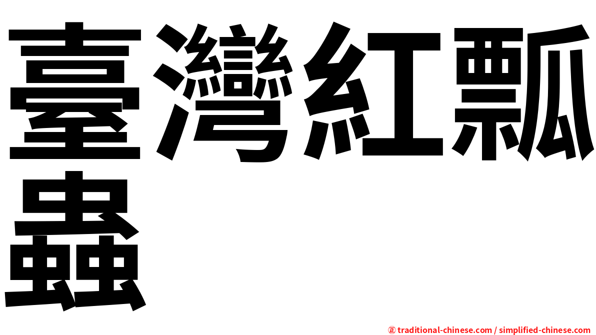 臺灣紅瓢蟲