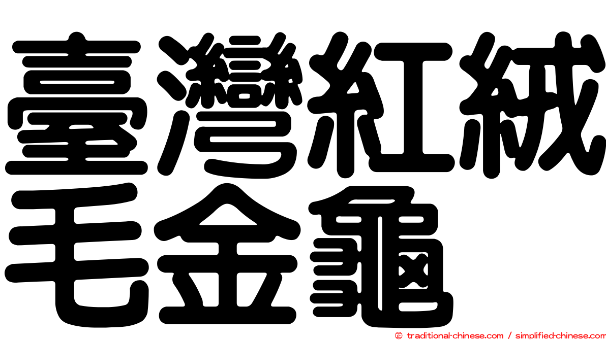 臺灣紅絨毛金龜