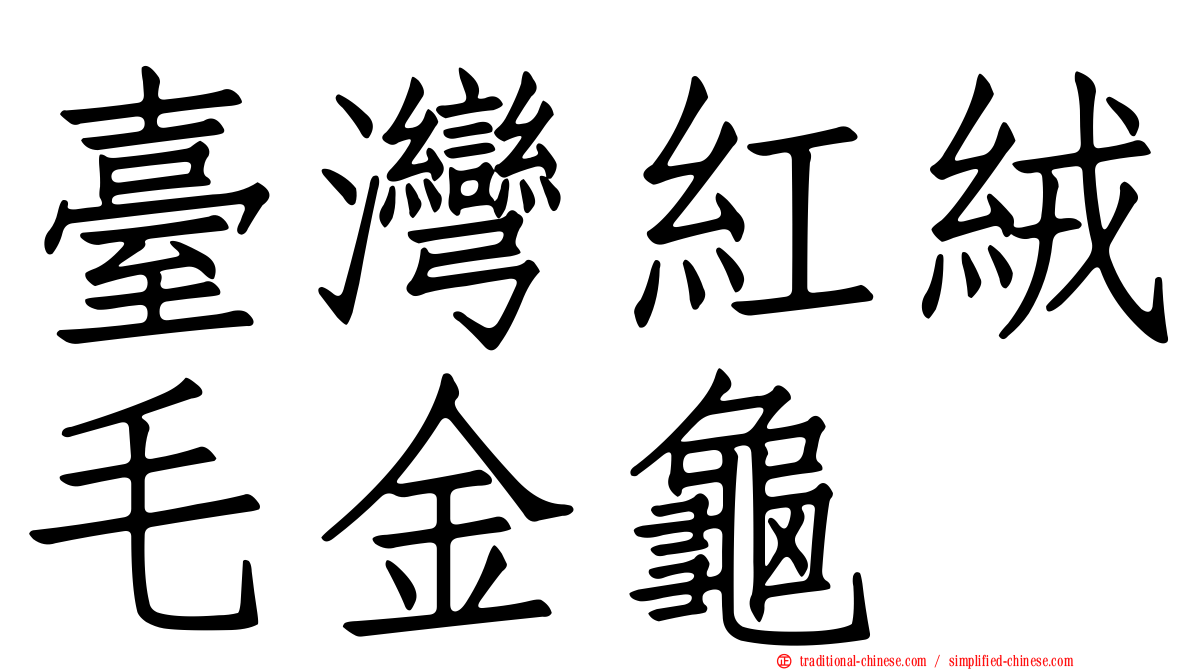 臺灣紅絨毛金龜