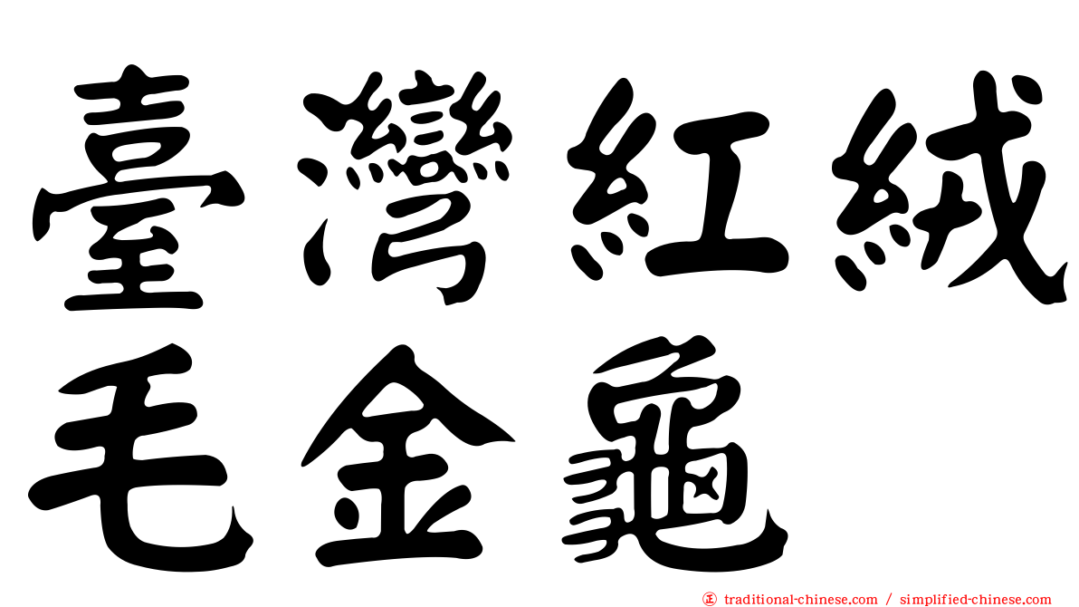 臺灣紅絨毛金龜