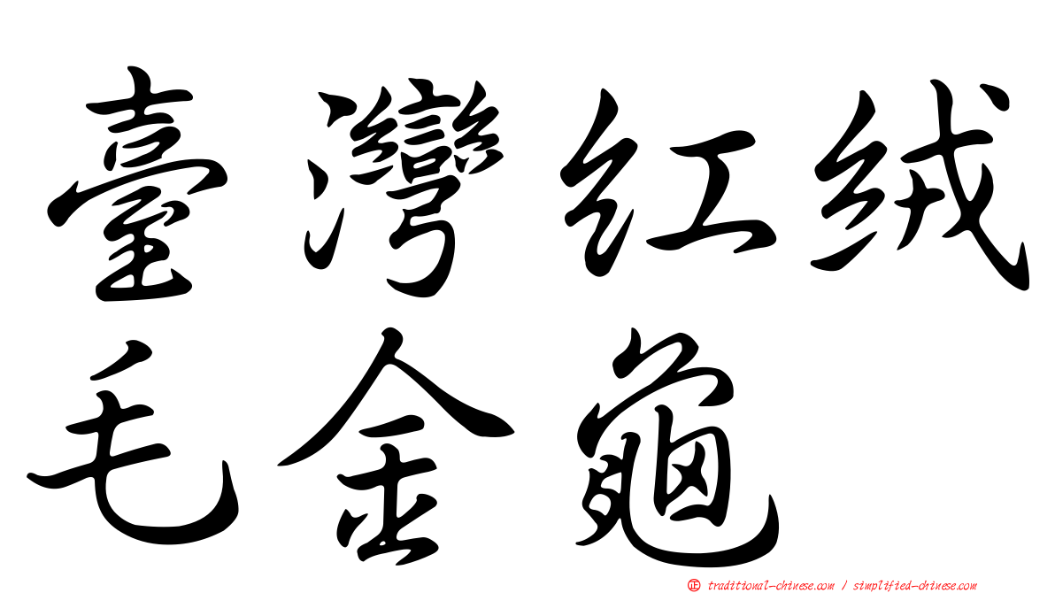 臺灣紅絨毛金龜