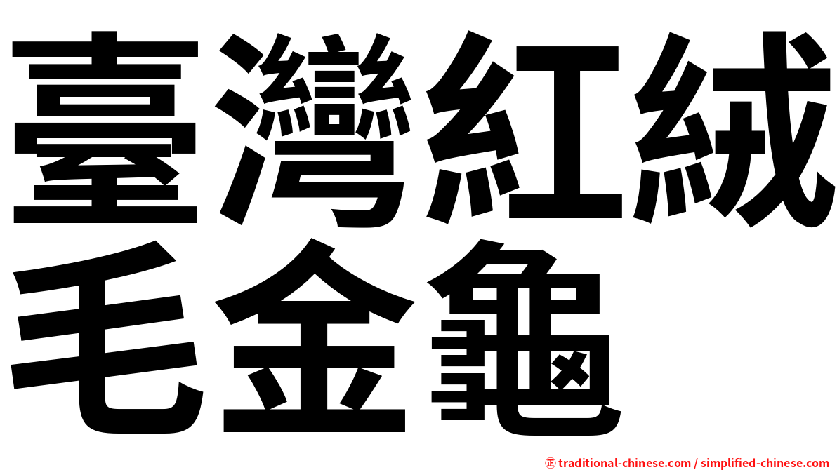 臺灣紅絨毛金龜