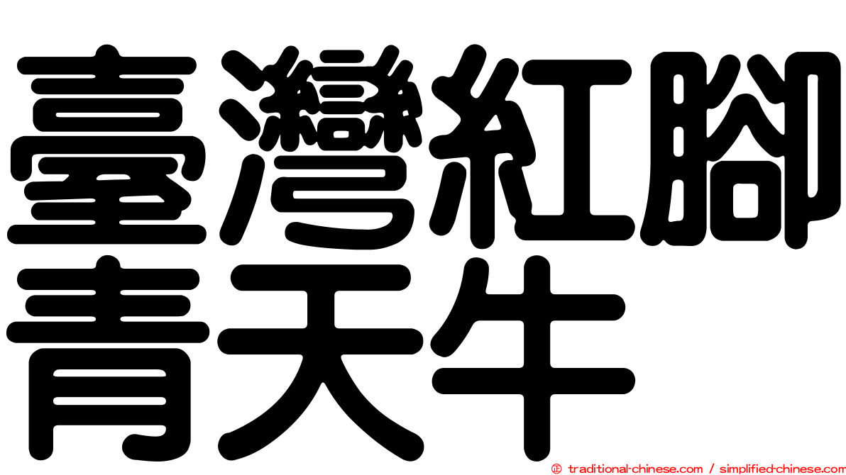 臺灣紅腳青天牛