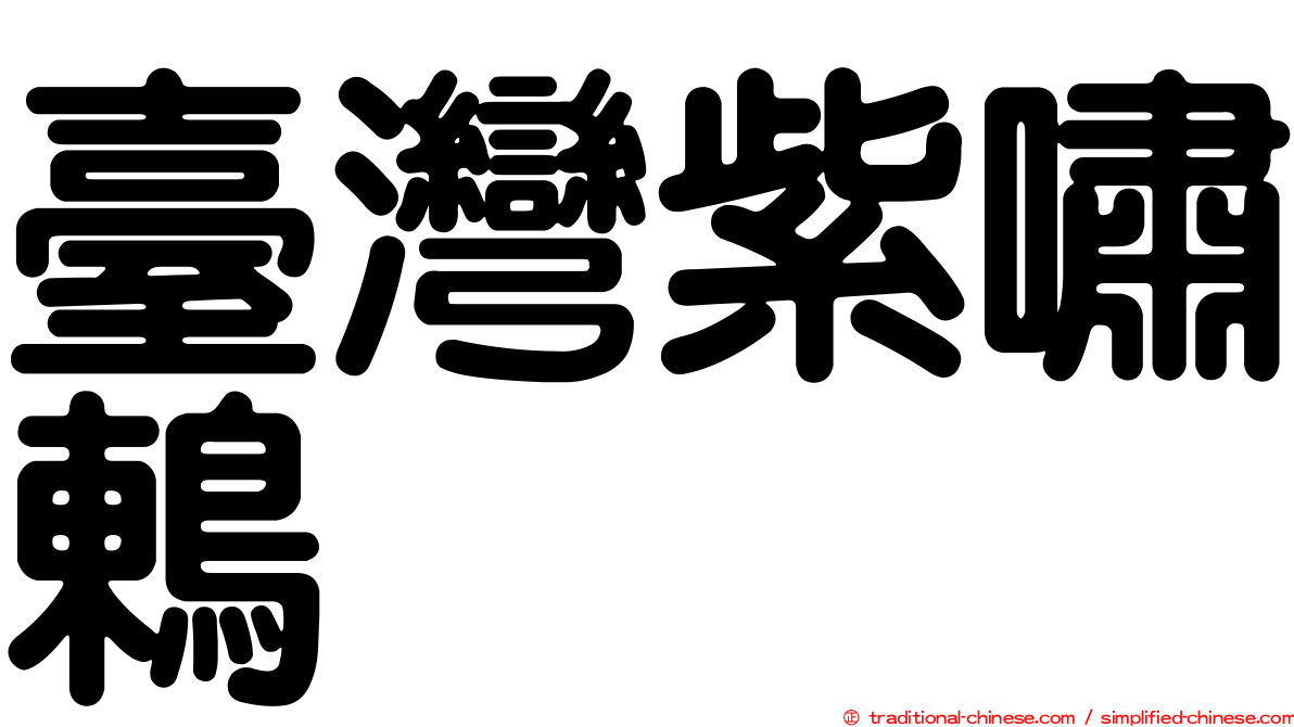 臺灣紫嘯鶇
