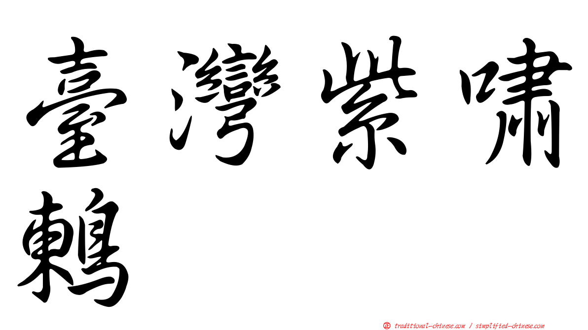 臺灣紫嘯鶇