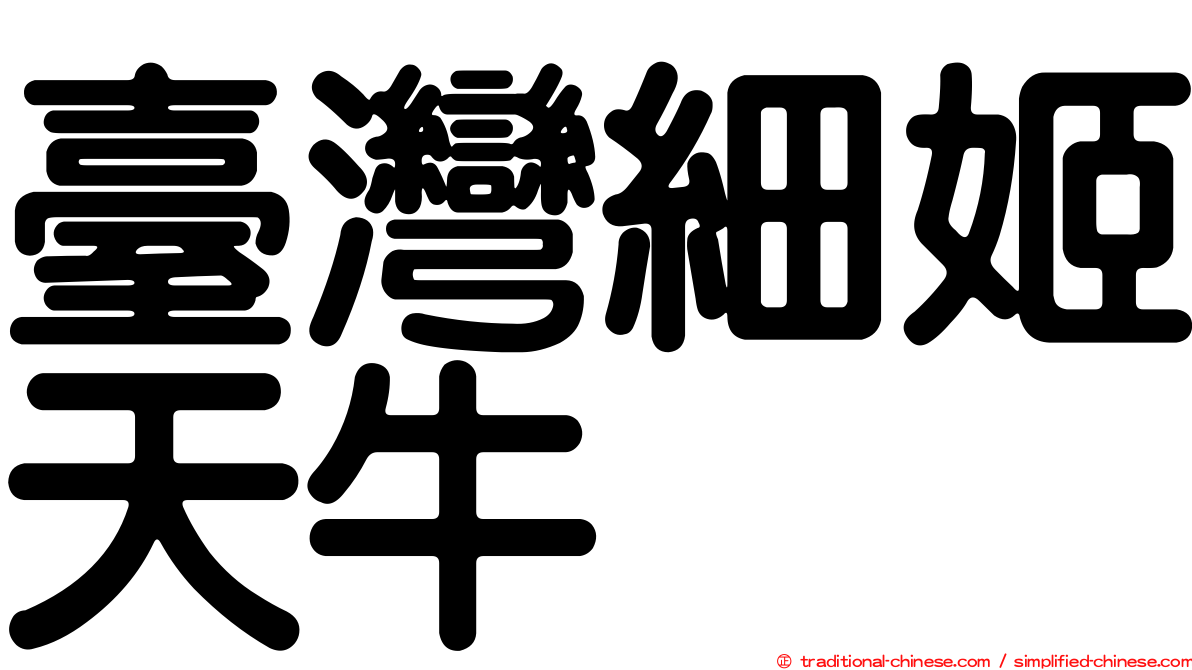 臺灣細姬天牛