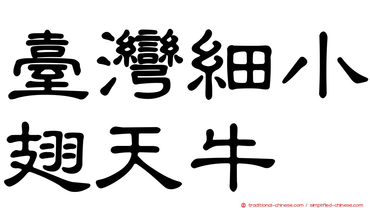 臺灣細小翅天牛