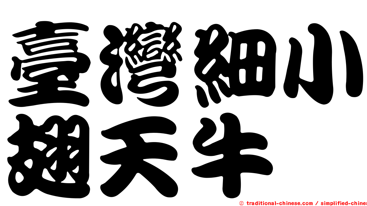 臺灣細小翅天牛