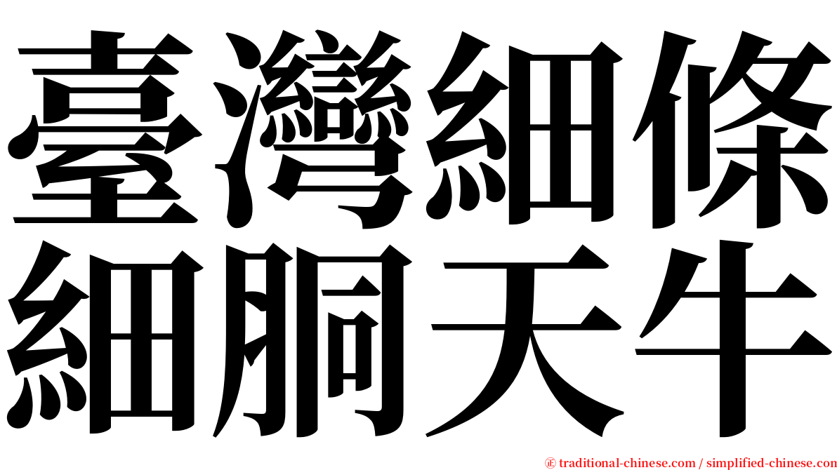 臺灣細條細胴天牛 serif font