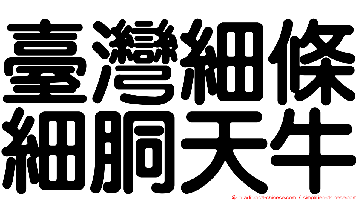 臺灣細條細胴天牛