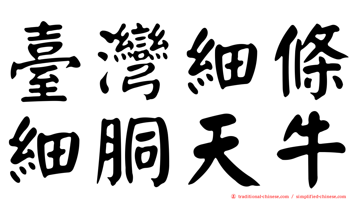 臺灣細條細胴天牛