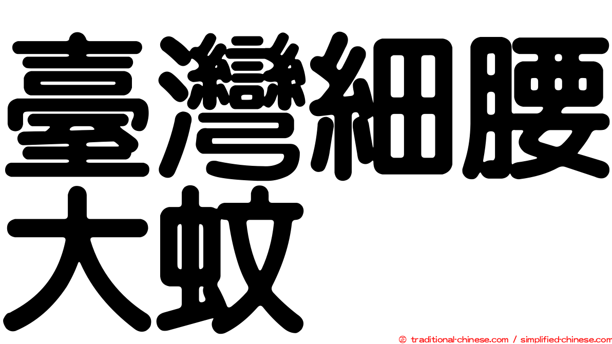 臺灣細腰大蚊