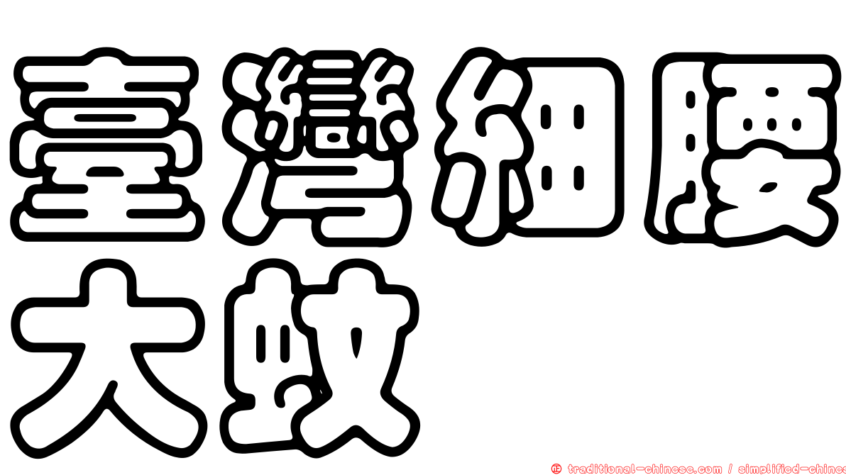 臺灣細腰大蚊