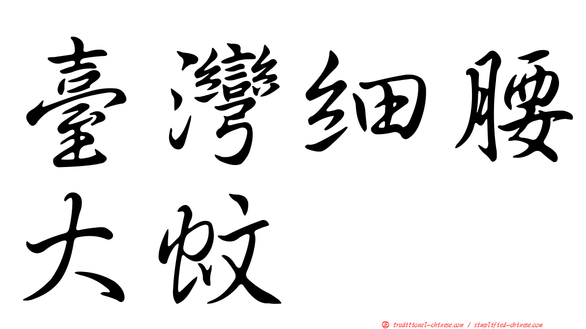 臺灣細腰大蚊